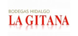 Hidalgolagitana Logo B